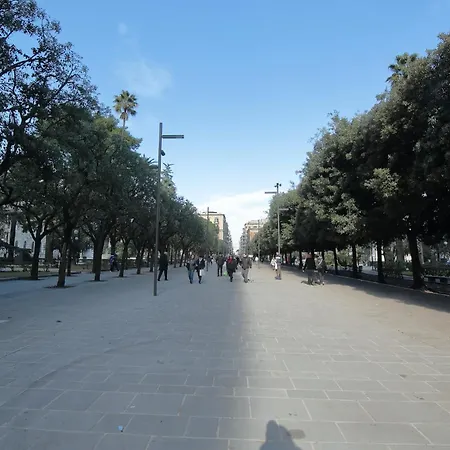 Sl Collection Stazione