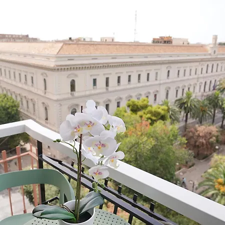 Sl Collection Stazione